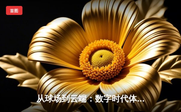 从球场到云端：数字时代体育资讯的沉浸式变革