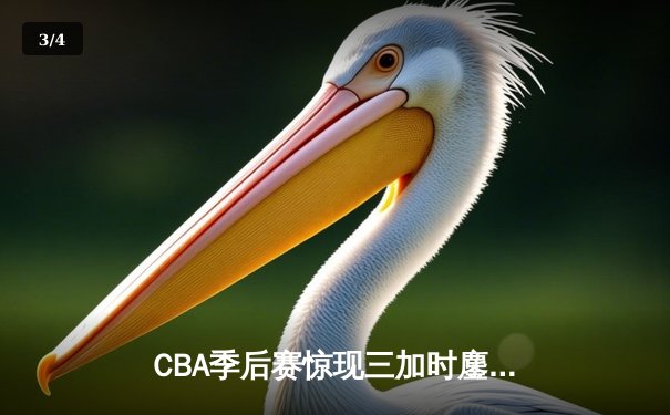 CBA季后赛惊现三加时鏖战 广东宏远147:143险胜浙江广厦 - 3